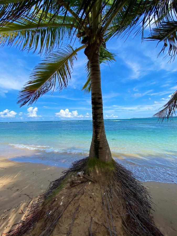 Cozy Beach Apartment Luquillo Buitenkant foto